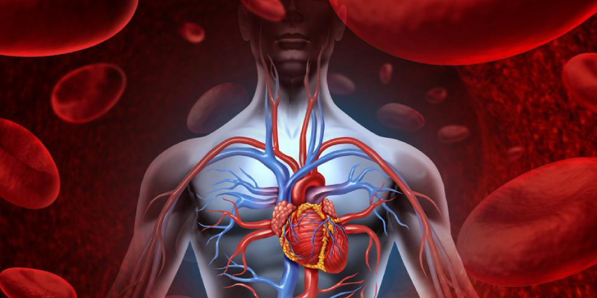 Come prevenire le malattie cardiovascolari